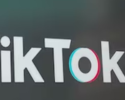kantor tiktokkk