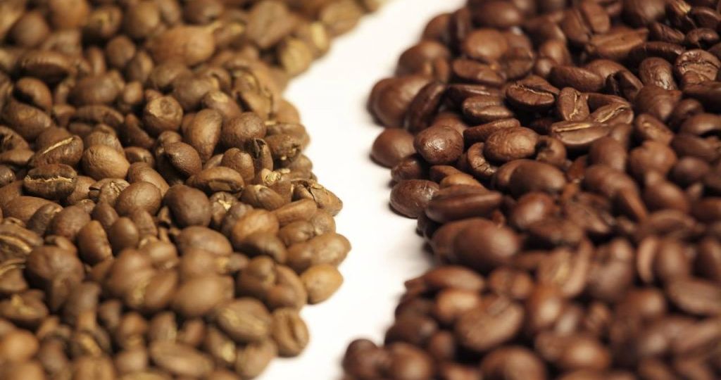 biji kopi arabika dan robusta Indonesia untuk ekspor global