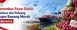 Panduan dan Peluang Ekspor Bawang Merah Indonesia
