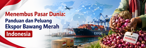 Panduan dan Peluang Ekspor Bawang Merah Indonesia