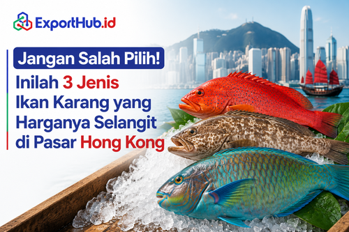 Exporthub.id-Jangan Salah Pilih! Inilah 3 Jenis Ikan Karang yang Harganya Selangit di Pasar Hong Kong
