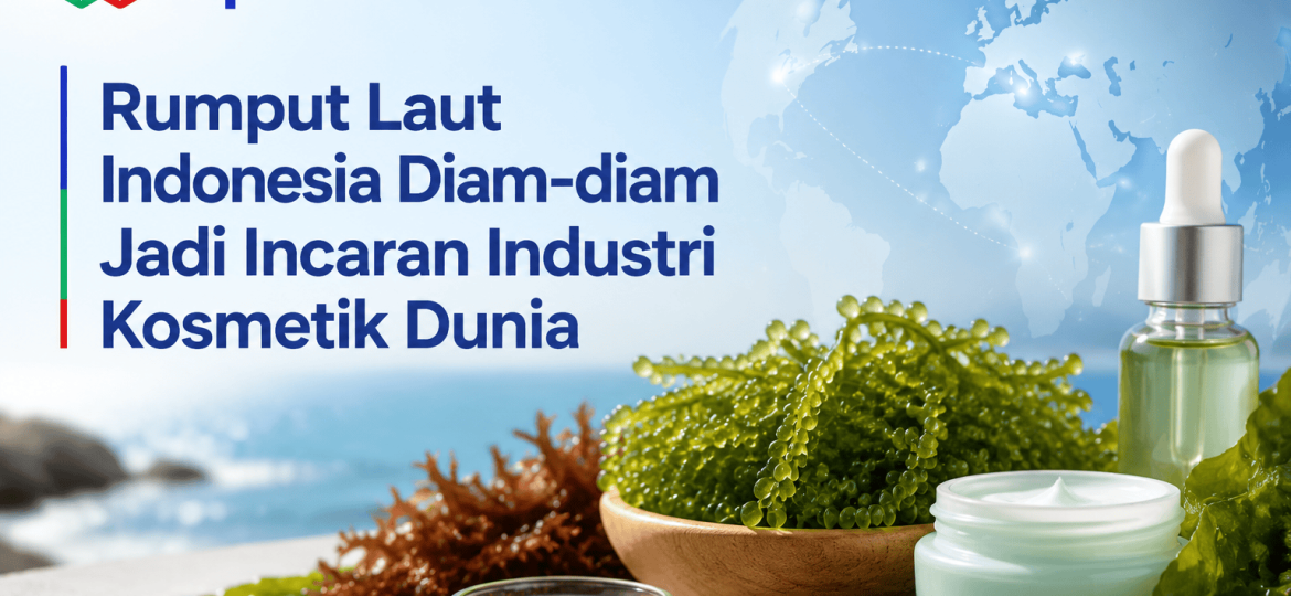 Exporthub.id-Rumput Laut Indonesia Diam-diam Jadi Incaran Industri Kosmetik Dunia