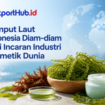 Exporthub.id-Rumput Laut Indonesia Diam-diam Jadi Incaran Industri Kosmetik Dunia