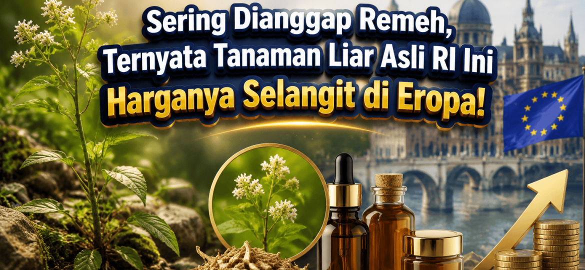 Sering Dianggap Remeh, Ternyata Tanaman Liar Asli RI Ini Harganya Selangit di Eropa!